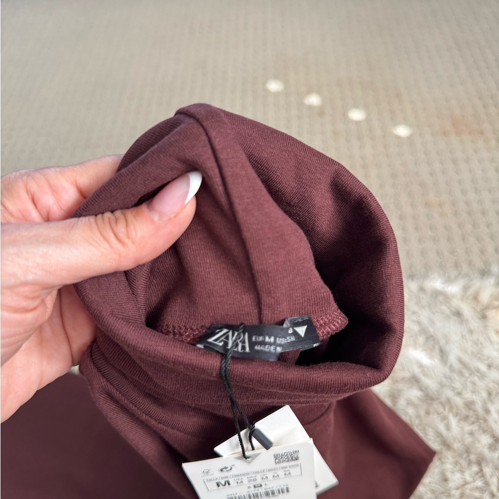 Zara Brown Sleeveless Turtleneck Dress - Picture 4 of 4